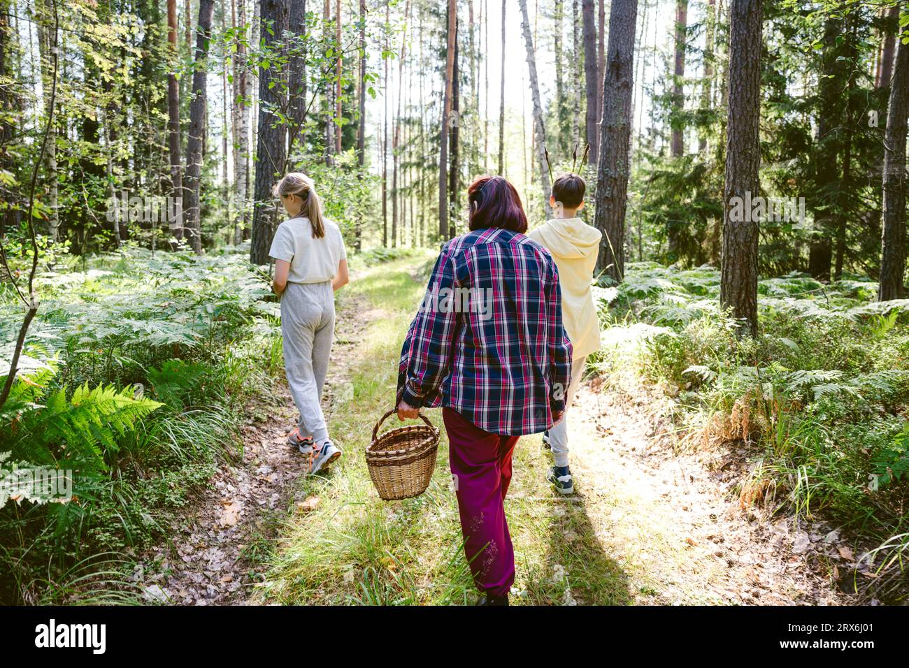 Großmutter mit Korb, die mit Enkelkindern im Wald spazieren geht Stockfoto