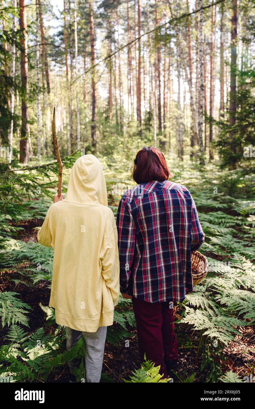 Junge mit Großmutter, der im Wald spaziert Stockfoto