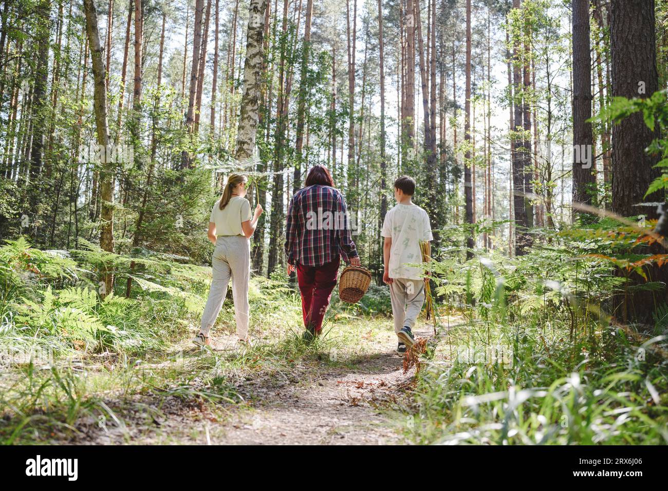 Großmutter, die mit Enkelkindern im Wald spaziert Stockfoto
