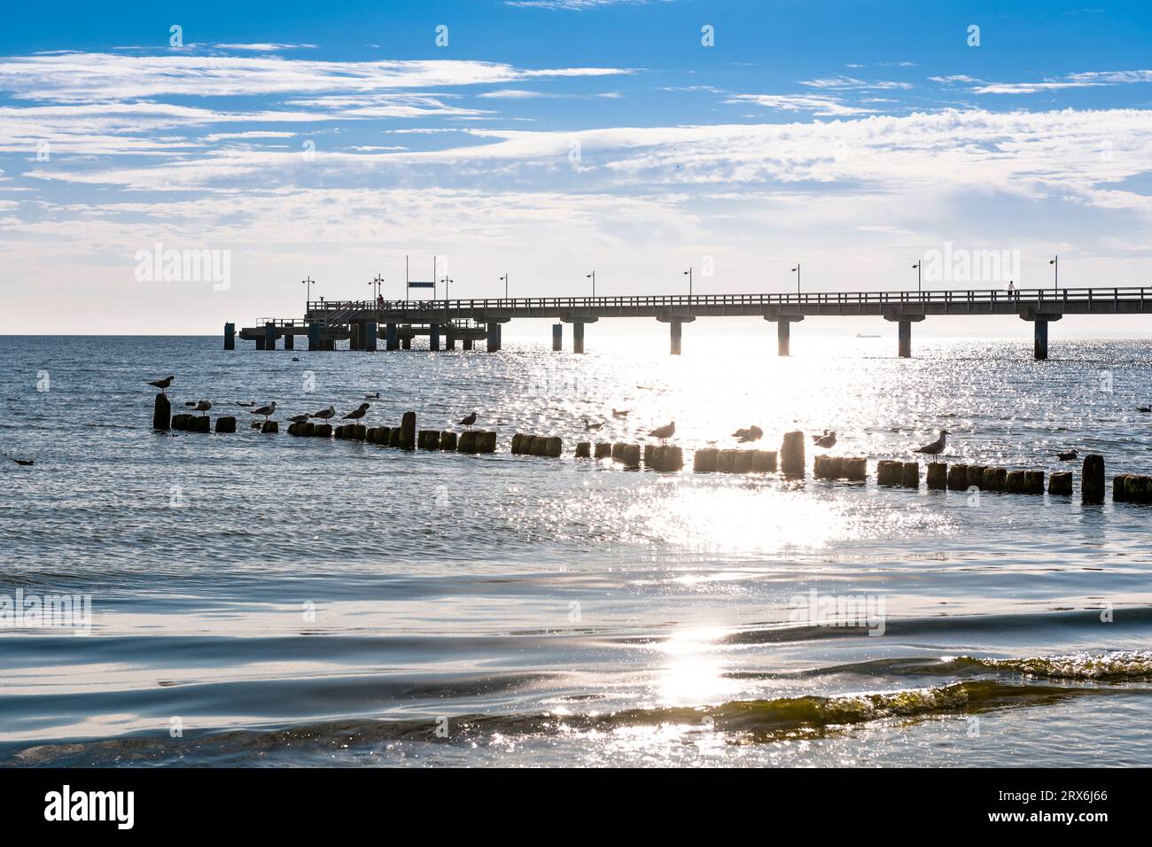 Deutschland, Mecklenburg-Vorpommern, Vögel, die entlang der Buchten mit Pier im Hintergrund sitzen Stockfoto