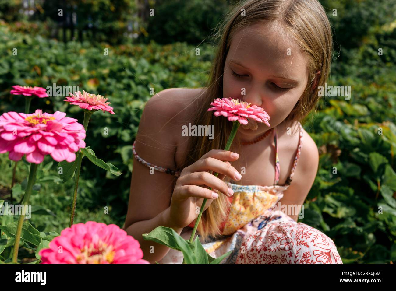 Blondes Mädchen riecht im Garten nach rosa Blume Stockfoto