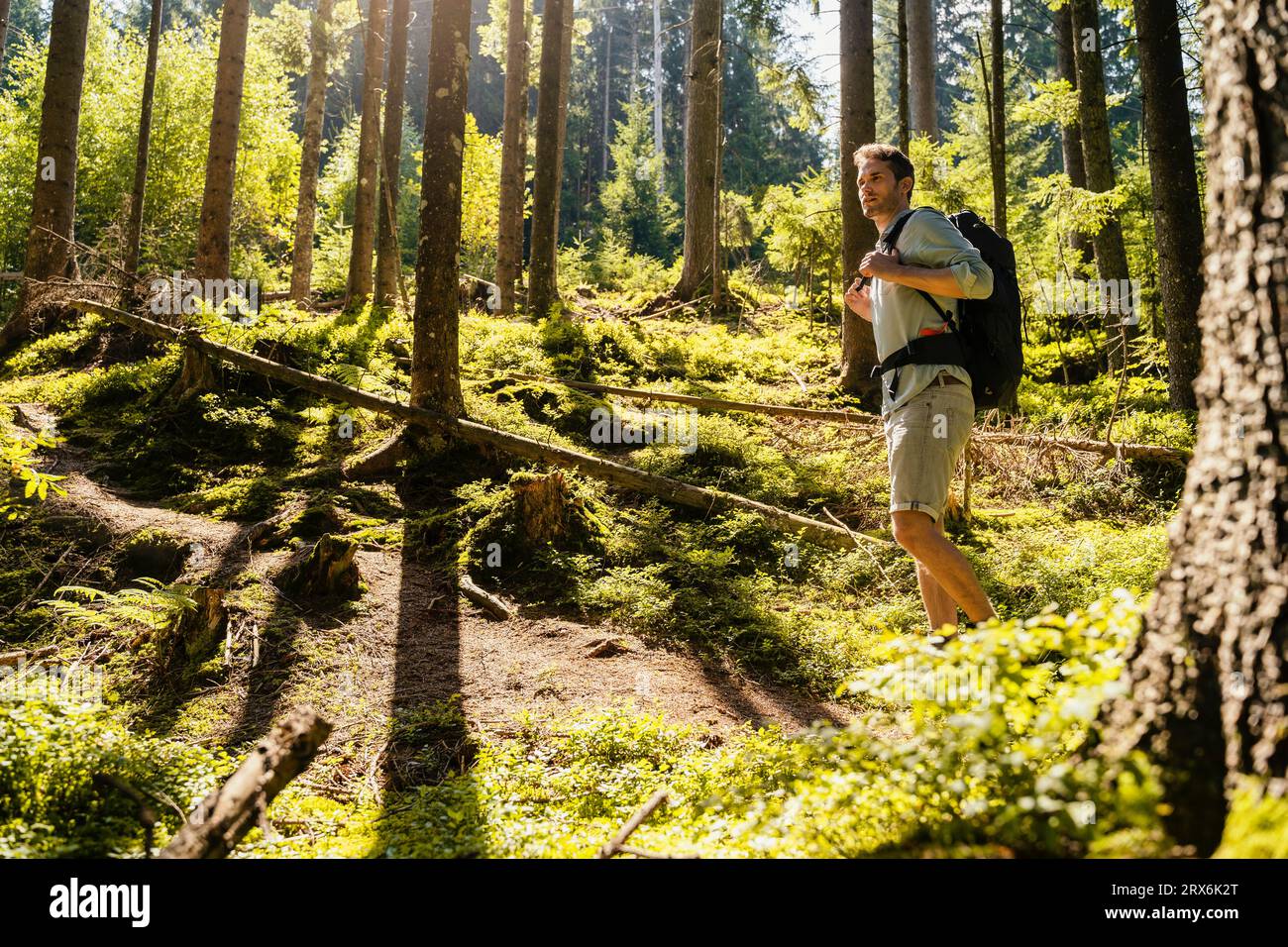 Wanderer mit Rucksack, der im Wald erkundet Stockfoto