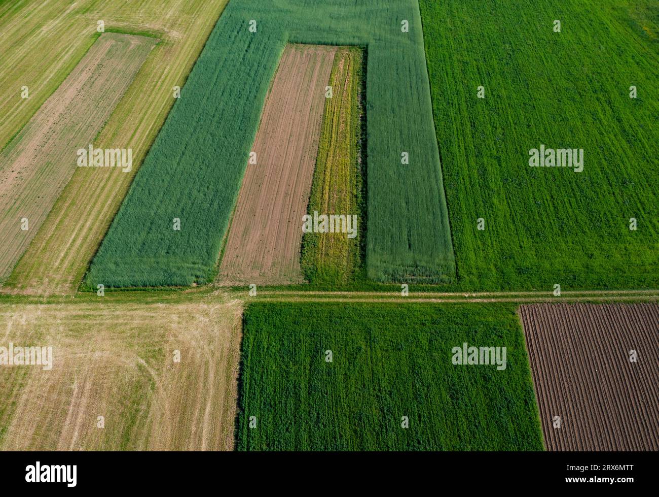 Österreich, Oberösterreich, Hausruckviertel, Drohnen-Blick auf grüne Felder Stockfoto