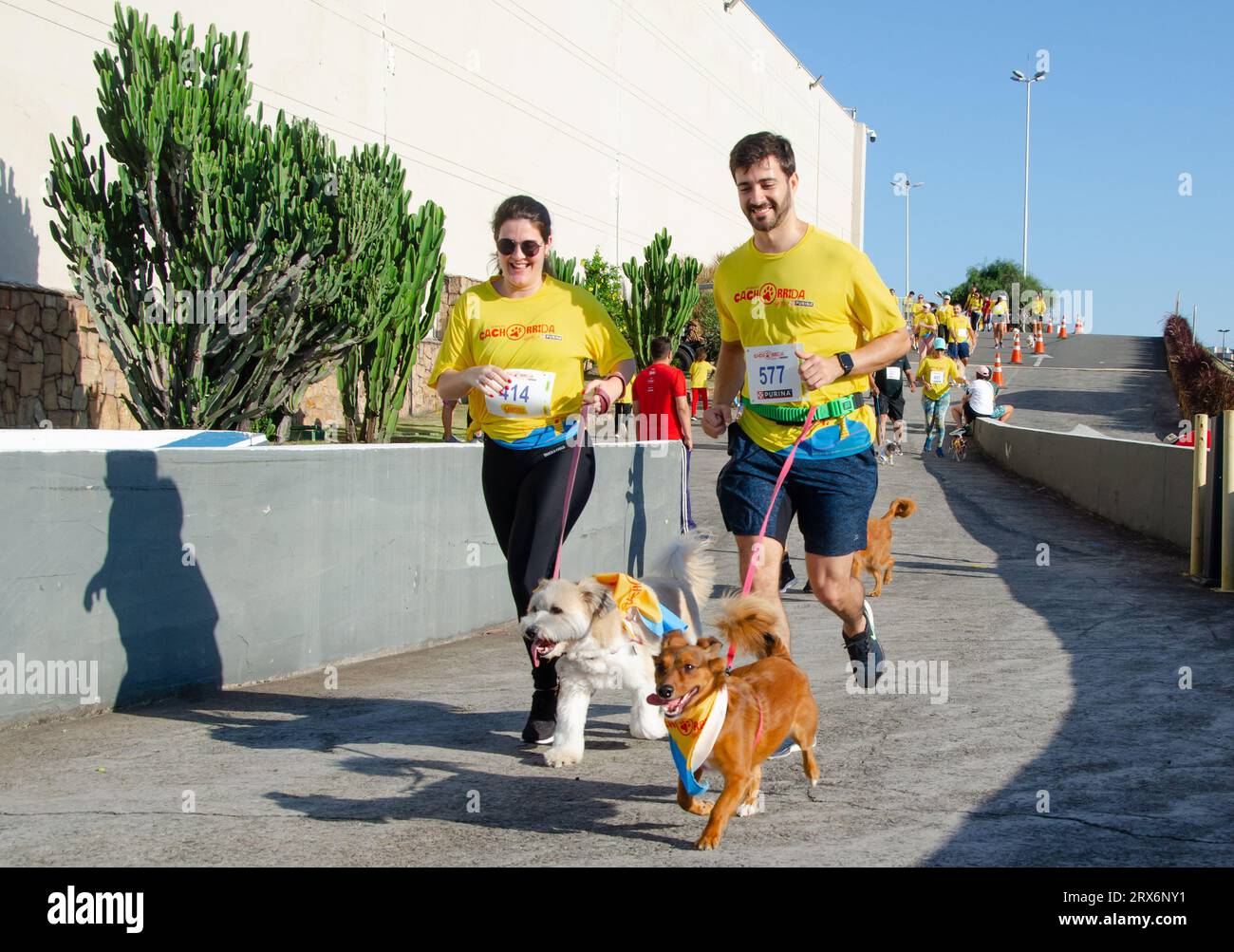 VIT'RIA, es - 23.09.2023: 2 CACHORRIDA GAROTO - Haustiere und Eigentümer nahmen an diesem Samstag, dem 23. September, an der 2. Cachorrida Garoto Teil, die in der Hauptstadt Vitória in Espírito Santo stattfand. (Foto: Vinicius Moraes/Fotoarena) Stockfoto
