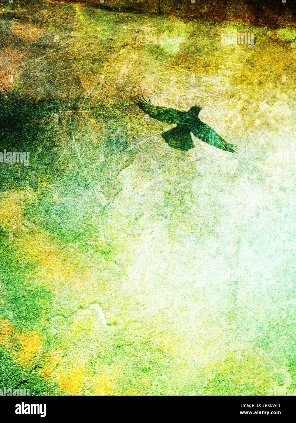 Surreales, psychedelisch strukturiertes Bild eines Korvids im Flug Stockfoto