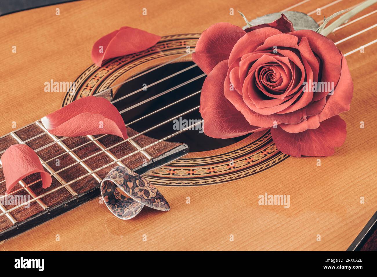 Nahaufnahme der Gitarre mit roten Rosen und Rosenblättern Stockfoto