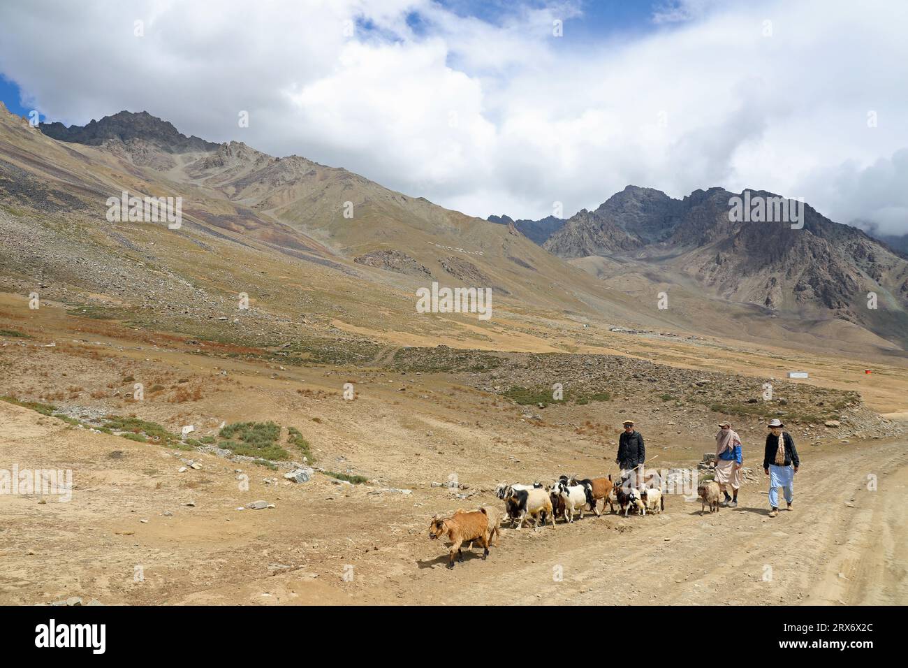 Ziegenhirten am entfernten Shandur-Pass im Norden Pakistans Stockfoto