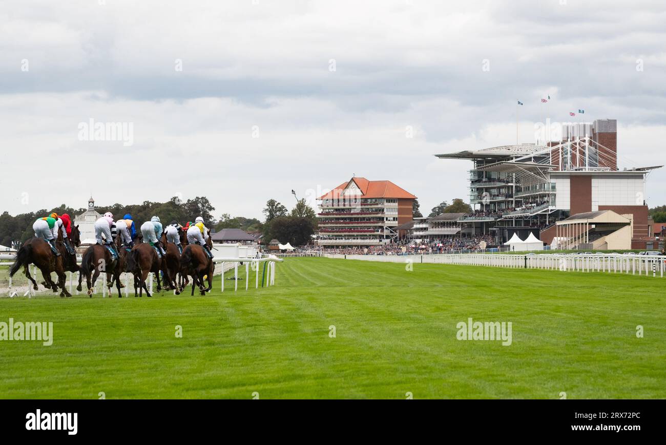 York Racecourse, York, Vereinigtes Königreich, Samstag, 23. September 2023; das Feld dreht sich für die jigsawbranding.co.uk Einsätze auf dem Autumn Raceday auf der York Racecourse, Samstag, 23. September 2023. Quelle: JTW equine Images/Alamy Live News Stockfoto