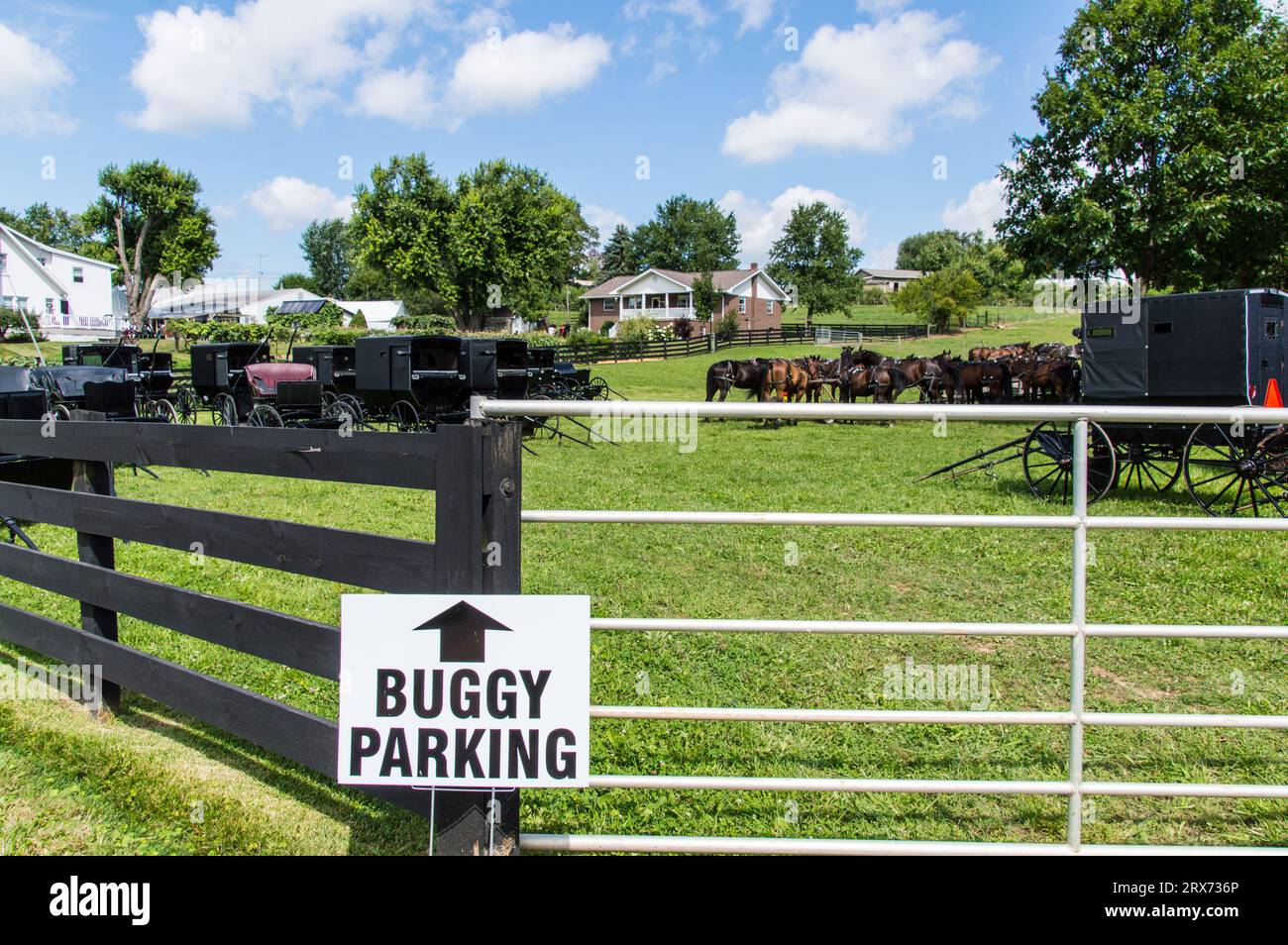 Amish Buggy parkte für eine Veranstaltung Stockfoto