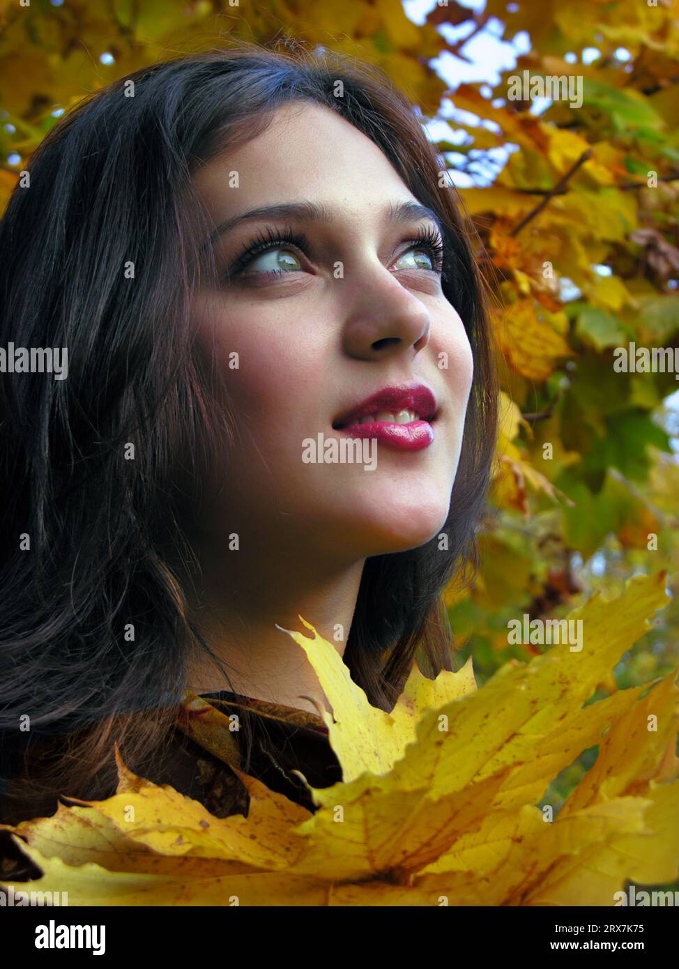 Portrait von Junge attraktive Frau im Herbst Park Stockfoto
