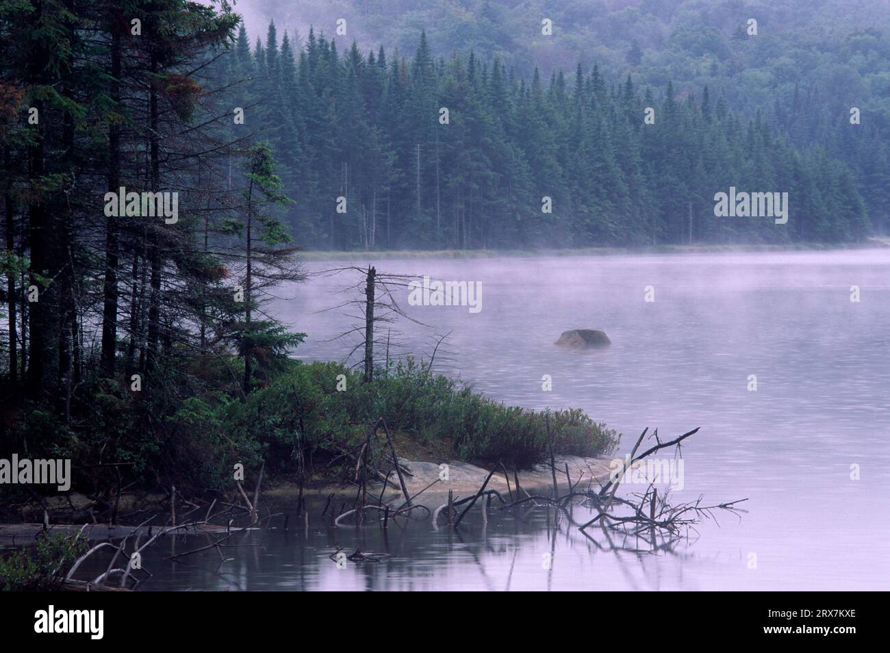 Wolf Lake, West Canada Lake Wilderness Area, Adirondack Park, New York Stockfoto