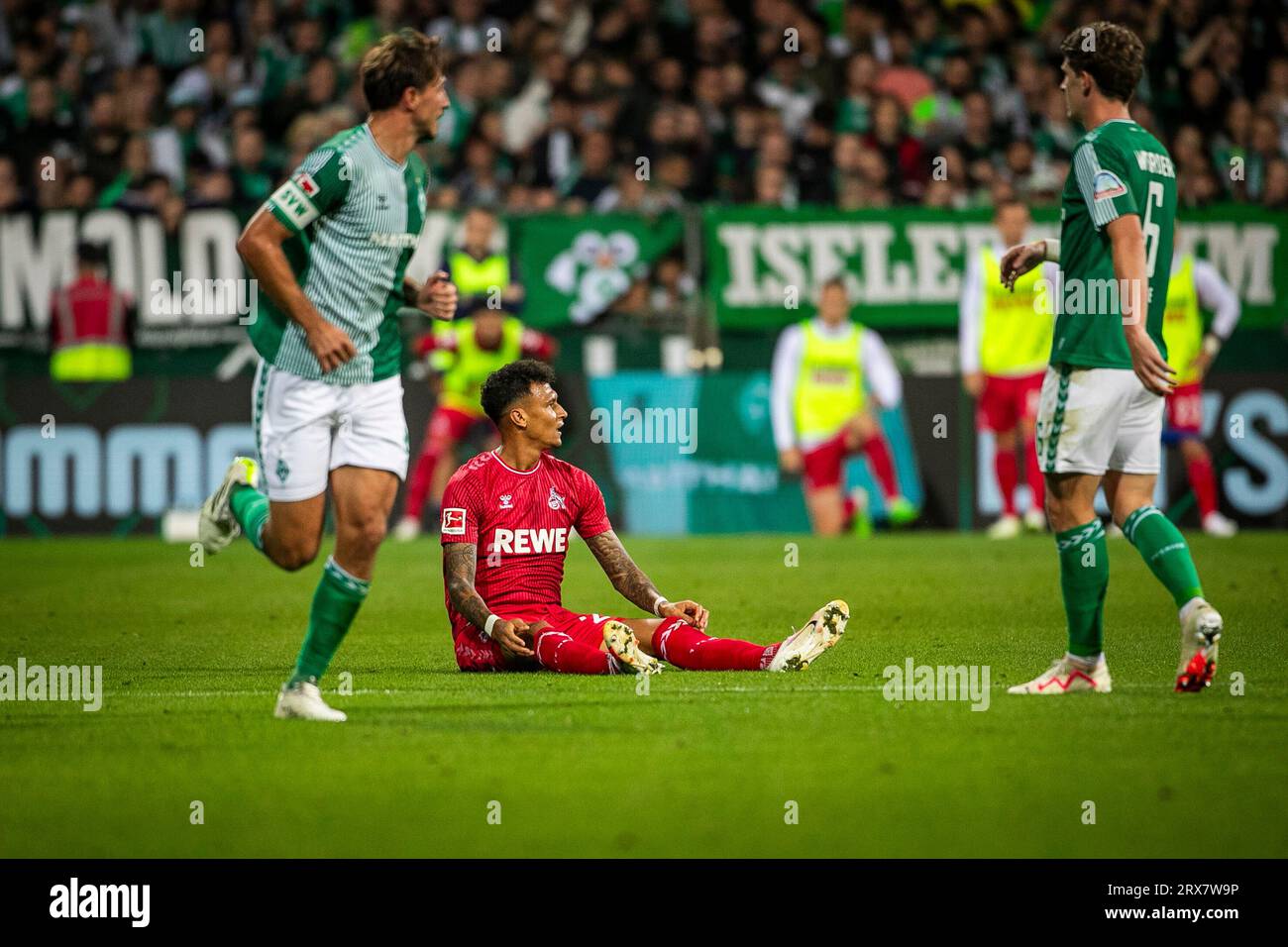 23.09.2023, wohninvest WESERSTADION, GER, 1.FBL, SV Werder Bremen vs 1. FC Köln im Bild DAVIE Selke (1. FC Köln #27) bleibt auf dem Boden sitzen, Foto © nordphoto GmbH/Rauch Gemäß den Vorgaben der DFL Deutsche Fußball Liga bzw. Des DFB Deutscher Fußball-Bund ist es untersagt, in dem Stadion und/oder vom Spiel angefertigte Fotoaufnahmen in Form von Sequenzbildern und/oder videoähnlichen Fotostrecken zu verwerten bzw. Verwerten zu lassen. Stockfoto