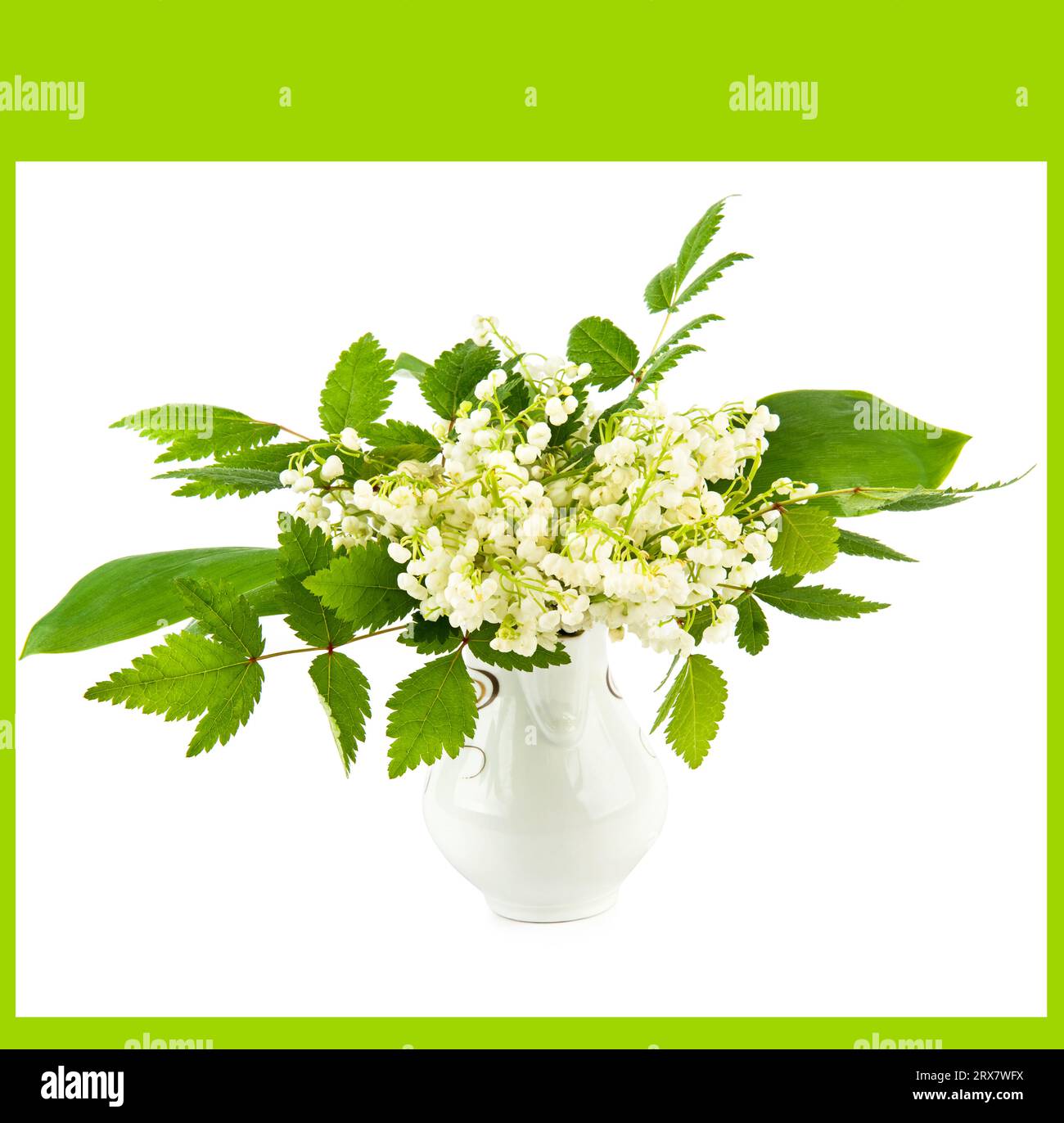 Blumenstrauß von Maiglöckchen in einer Vase isoliert auf weißem Hintergrund. Stockfoto