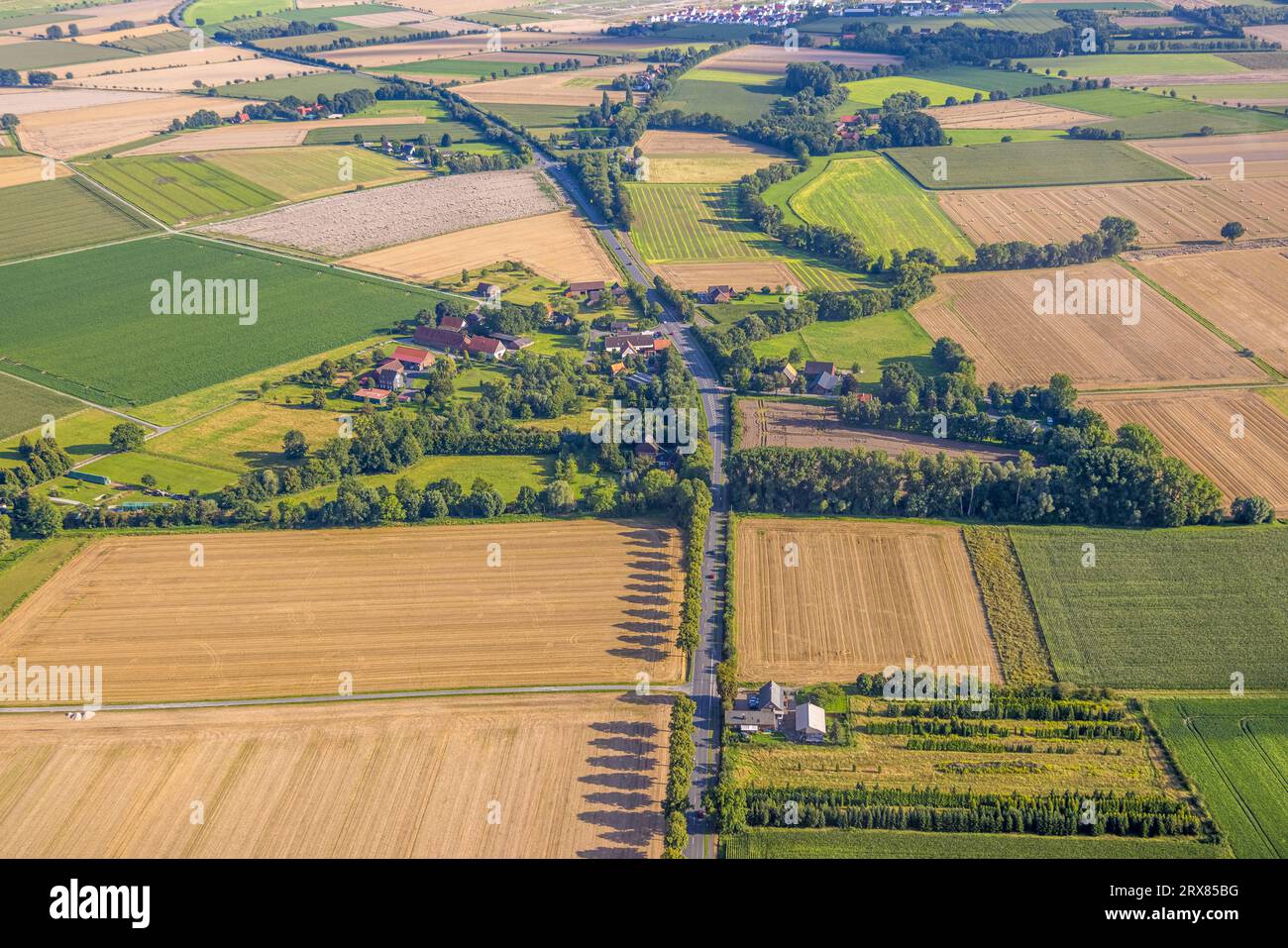 Luftaufnahme, Bezirk Lühringsen, Allee der Bäume mit Schatten auf der Oestinghauser Landstraße, Wiesen und Felder, Lühringsen, Soest, Soester Börde, Nort Stockfoto