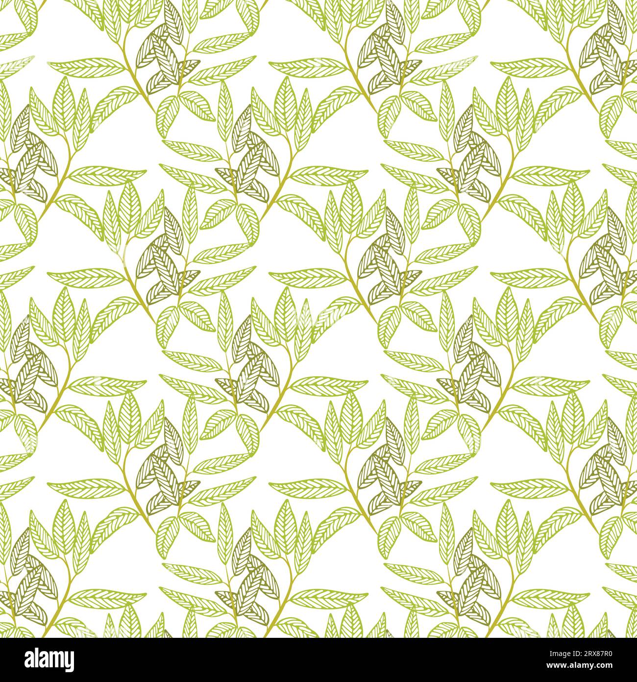 Ein grünes, belaubtes Weinstöpsel-Muster auf weißem Hintergrund Stock Vektor