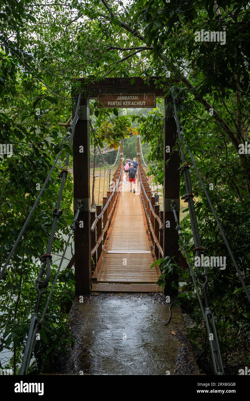 Die Brücke überquert den Meromitic Lake, Pantai Keracut (Turtle Beach), Taman Negara Pulau Pinang, Malaysia Stockfoto