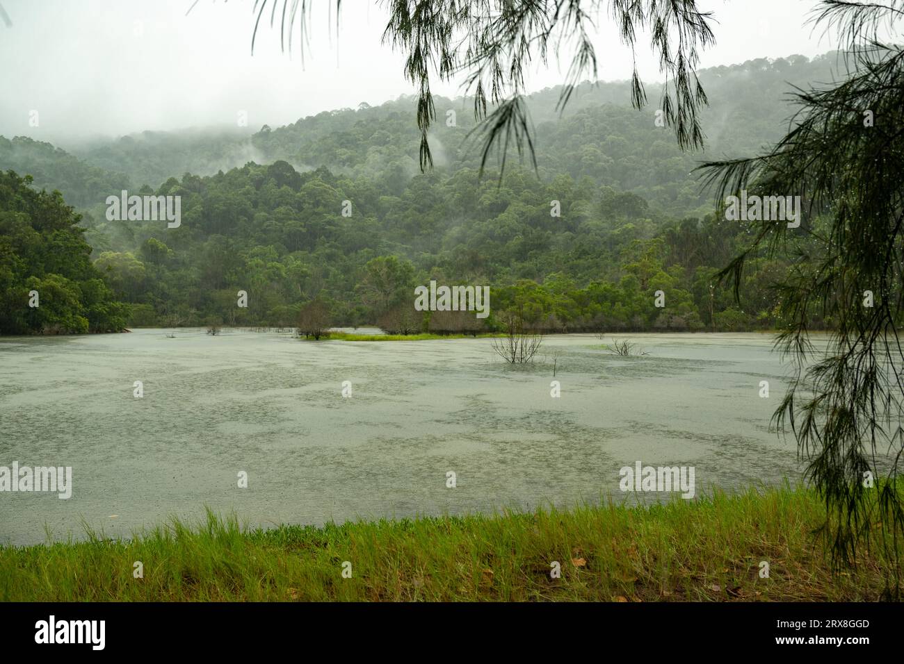 Der Meromitic Lake in Pantai Keracut (Turtle Beach), Taman Negara Pulau Pinang, Malaysia Stockfoto