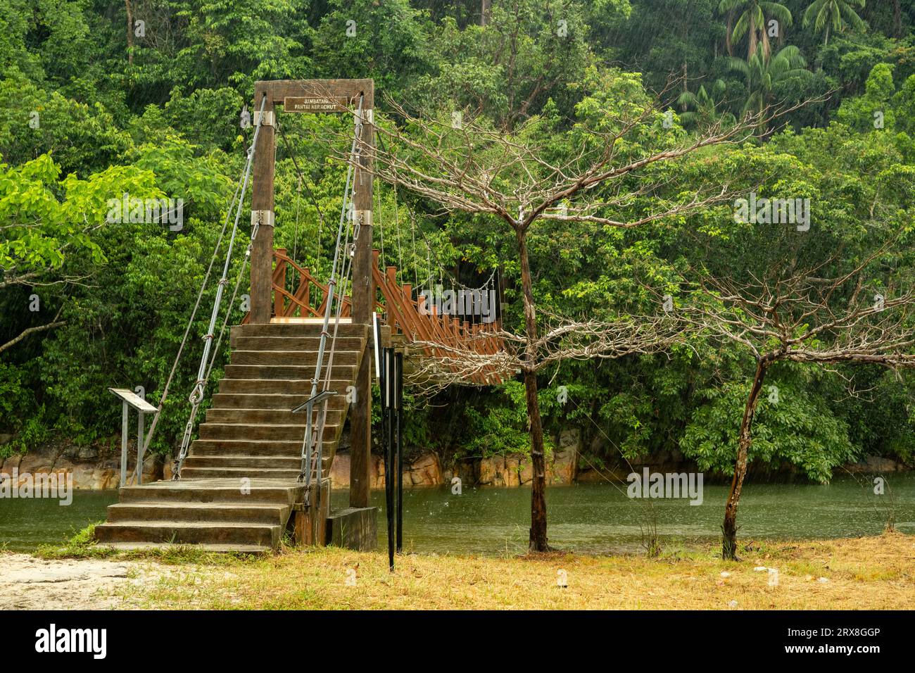 Die Brücke überquert den Meromitic Lake, Pantai Keracut (Turtle Beach), Taman Negara Pulau Pinang, Malaysia Stockfoto