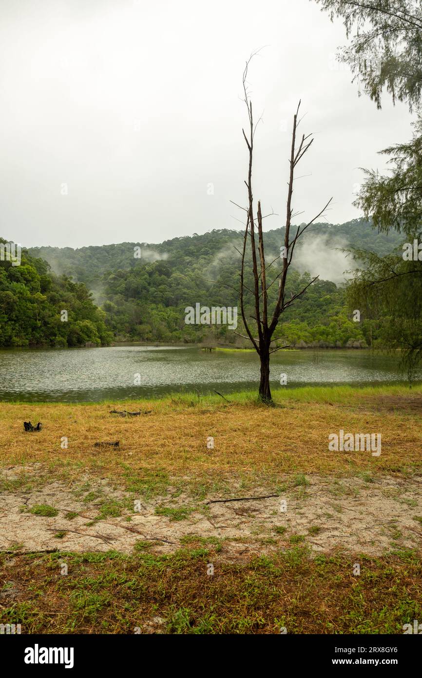 Der Meromitic Lake in Pantai Keracut (Turtle Beach), Taman Negara Pulau Pinang, Malaysia Stockfoto