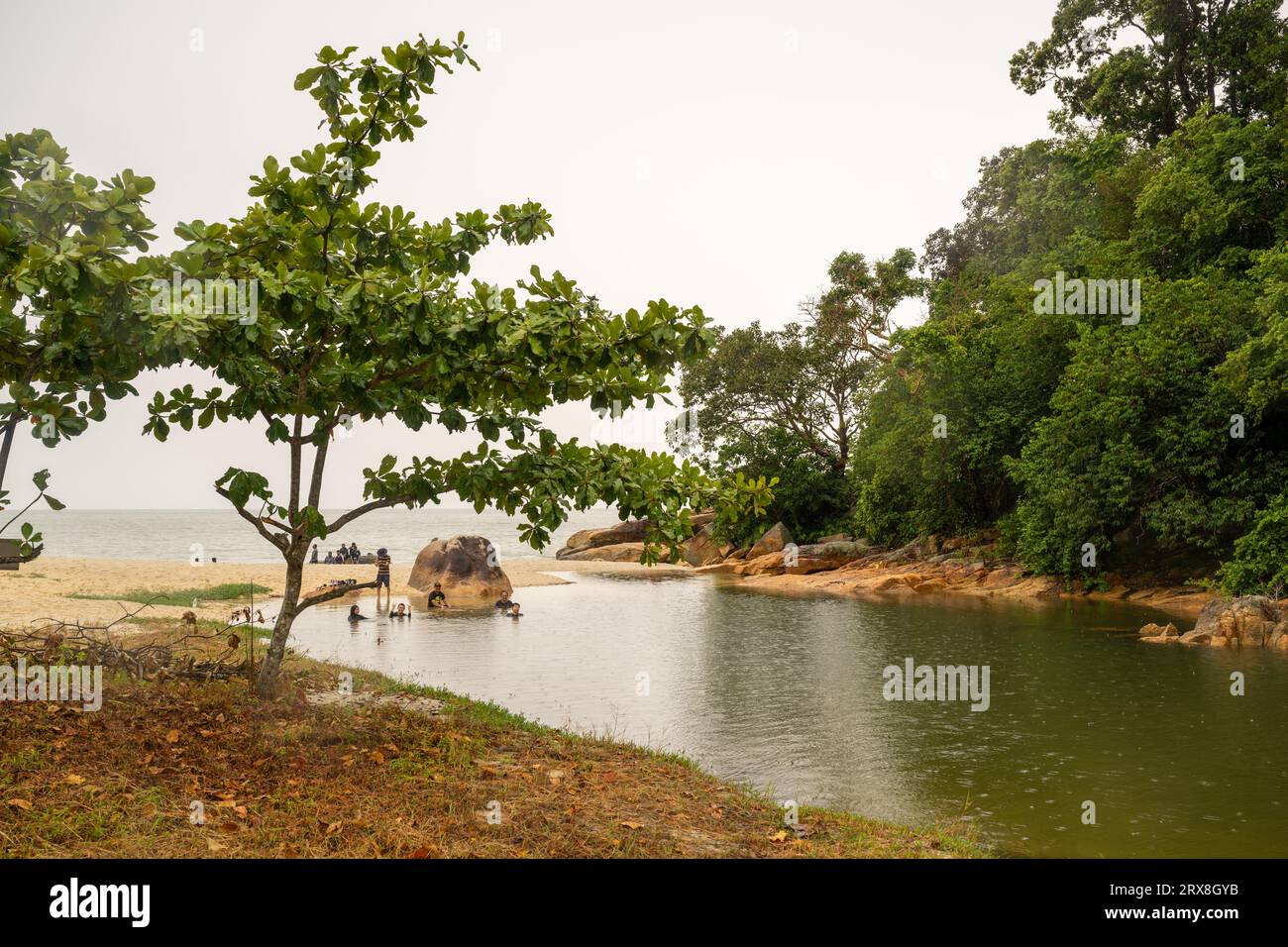 Der Meromitic Lake in Pantai Keracut (Turtle Beach), Taman Negara Pulau Pinang, Malaysia Stockfoto