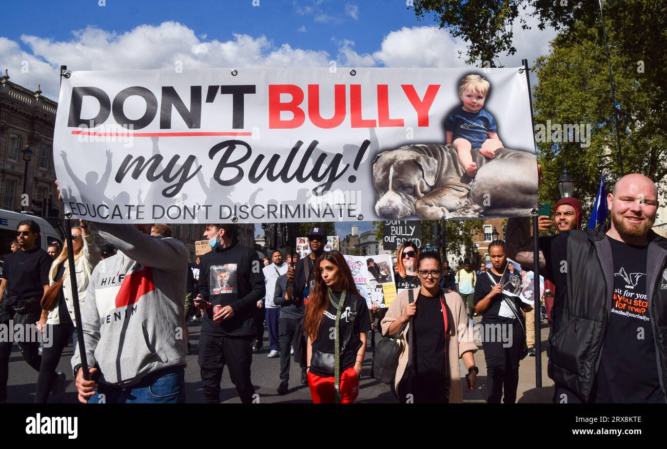 London, Großbritannien. September 2023. Die Demonstranten halten ein Banner, auf dem steht: "Schikanieren Sie nicht meinen Mobber" während der Demonstration in Whitehall. Hundebesitzer und Unterstützer marschierten in Westminster aus Protest gegen das amerikanische Bully-XL-Verbot. Die Hunderasse wird im Vereinigten Königreich nach einer Reihe von Angriffen auf Menschen verboten. Quelle: SOPA Images Limited/Alamy Live News Stockfoto