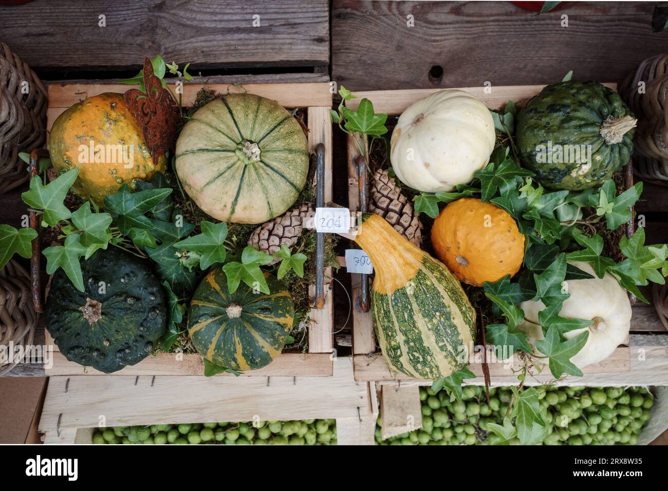 Selektiver Fokus auf den Häufchen von Kürbissen im Webkorb als halloween-Deko-Requisiten außerhalb des Geschäfts auf dem Bürgersteig. Stockfoto