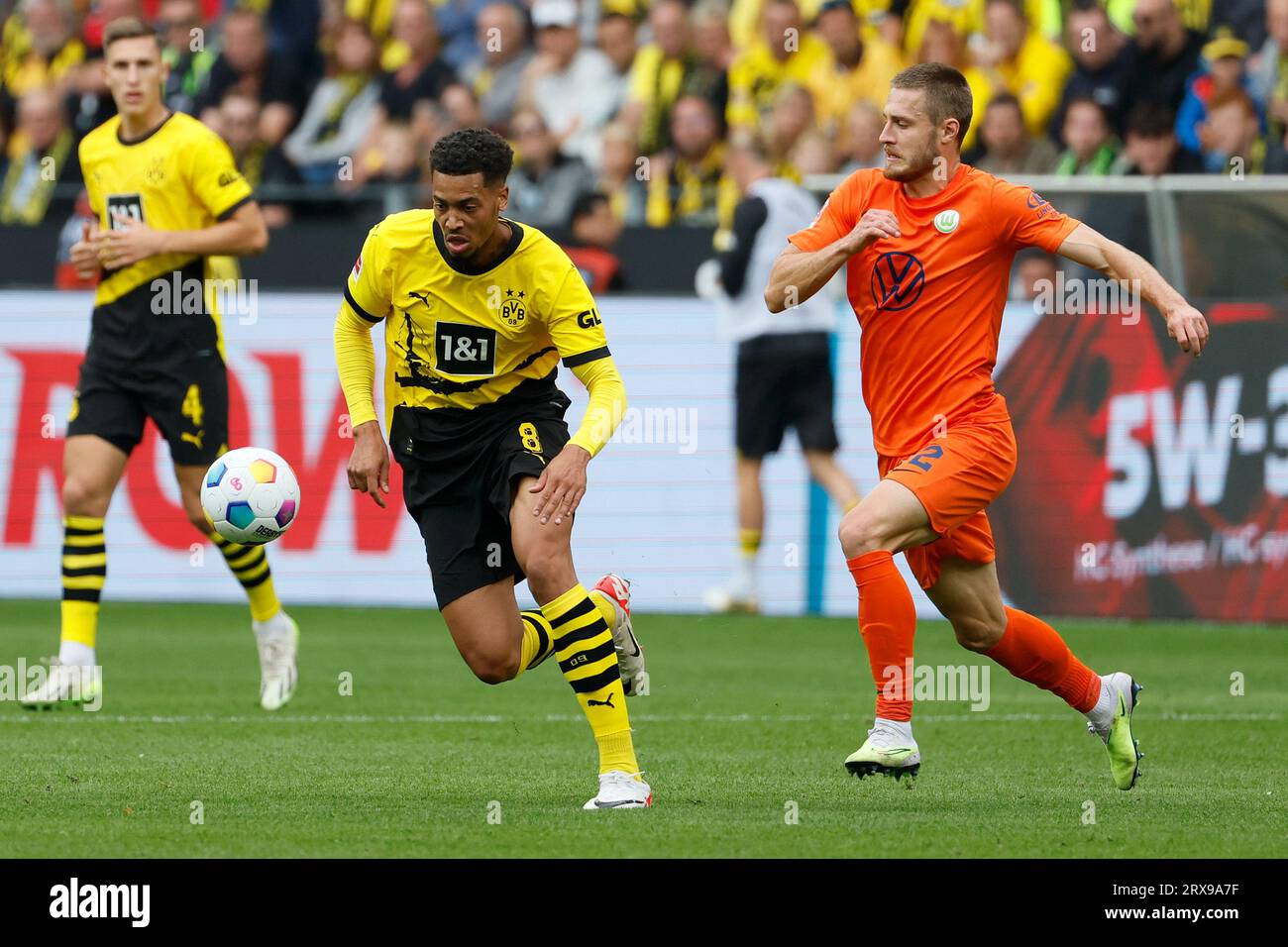 Dortmund, Deutschland. September 2023. Felix Nmecha (L, vorne) von Borussia Dortmund bestreitet mit Mattias Svanberg vom VfL Wolfsburg im ersten Spiel der 5. Runde der Bundesliga in Dortmund, Deutschland, 23. September 2023. Quelle: Joachim Bywaletz/Xinhua/Alamy Live News Stockfoto