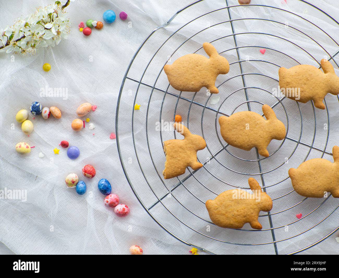 Osterkekse schmücken. Festliches Kochkonzept. Flach liegend. Bestreuen Sie Kekse mit farbigem Karamell für die Osterferien. Osterhintergrund Stockfoto