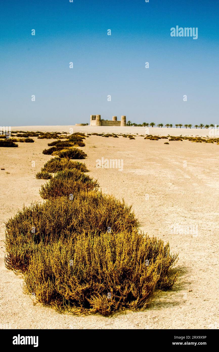 Wüstenblick auf Al Futaisi Island Stockfoto