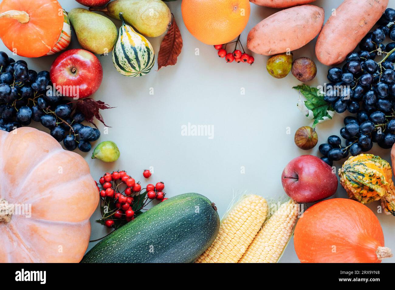 Rahmen für die Herbsternte: Kürbisse, Äpfel, Birnen, Mais, Trauben und anderes Obst und Gemüse. Ansicht von oben, flach, Kopierbereich. Stockfoto