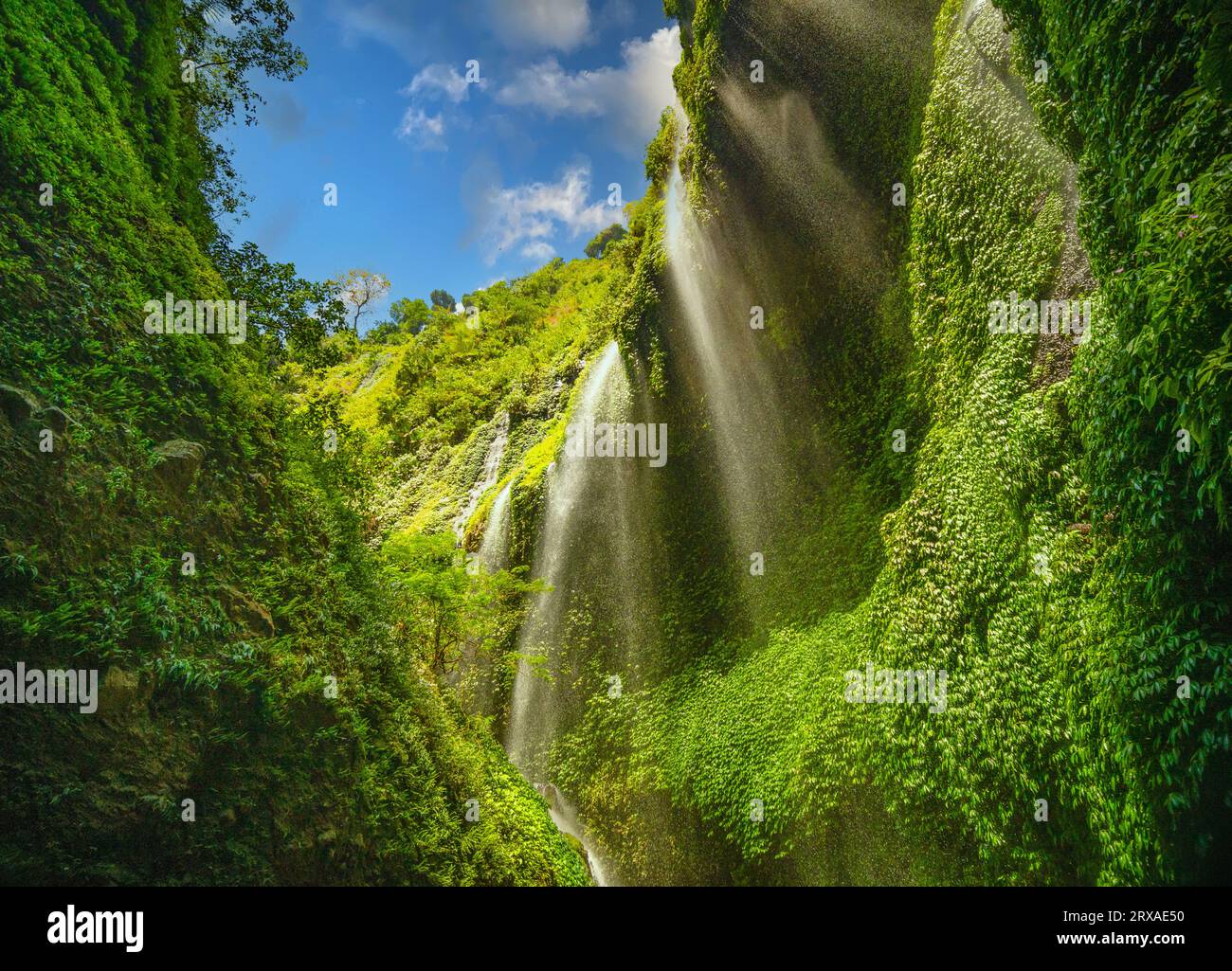 Wunderschöne Wasserfälle an sonnigen Tagen, Blick von unten Madakaripura Wasserfall ist der höchste Wasserfall in Ost-Java, Indonesien Stockfoto