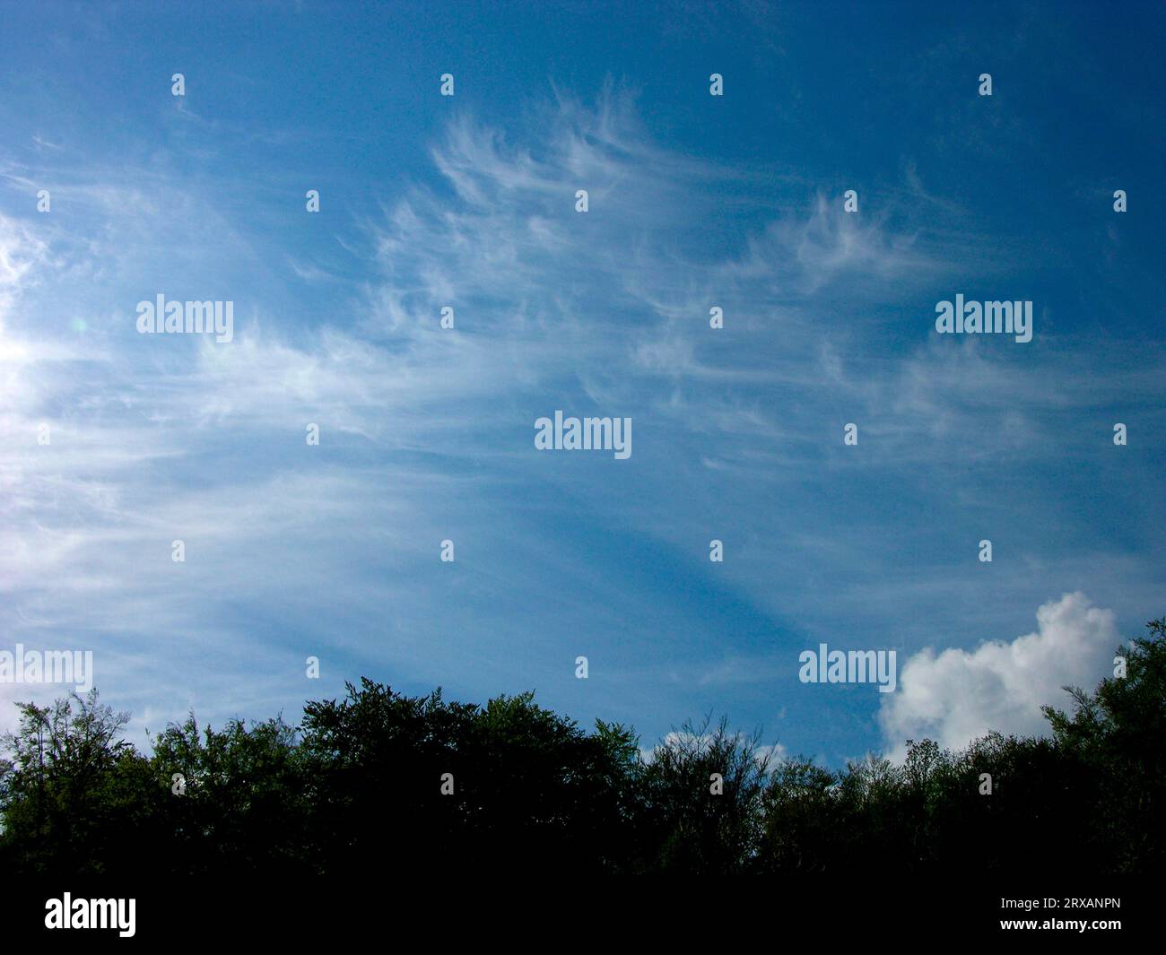 Weiße Wolken am Himmel, Schleierwolken, weiße Wolken am Himmel, Schleierwolken Stockfoto