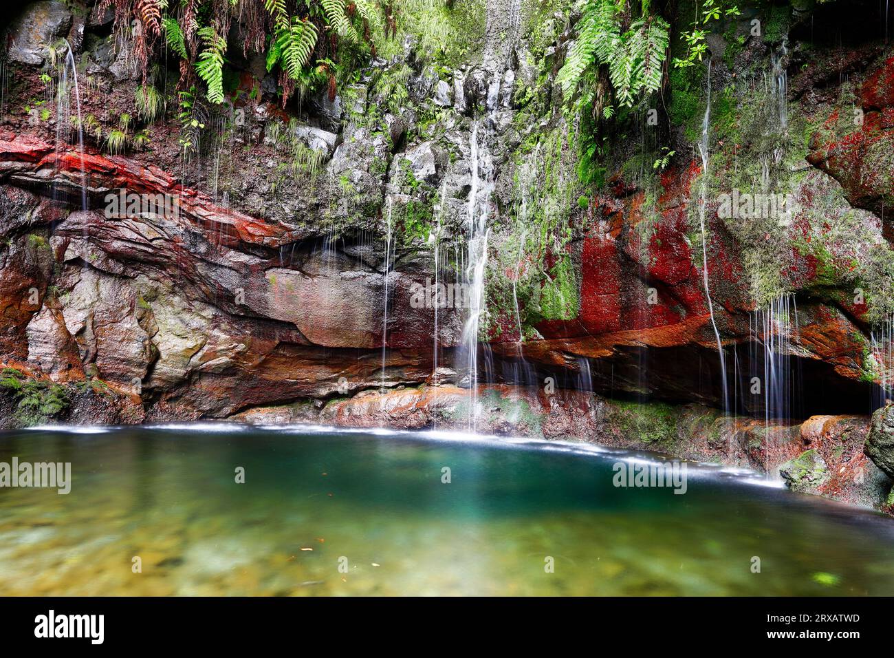 Wasserfall im Regenwald, tropischer Dschungel auf Madeira, Portugal Stockfoto