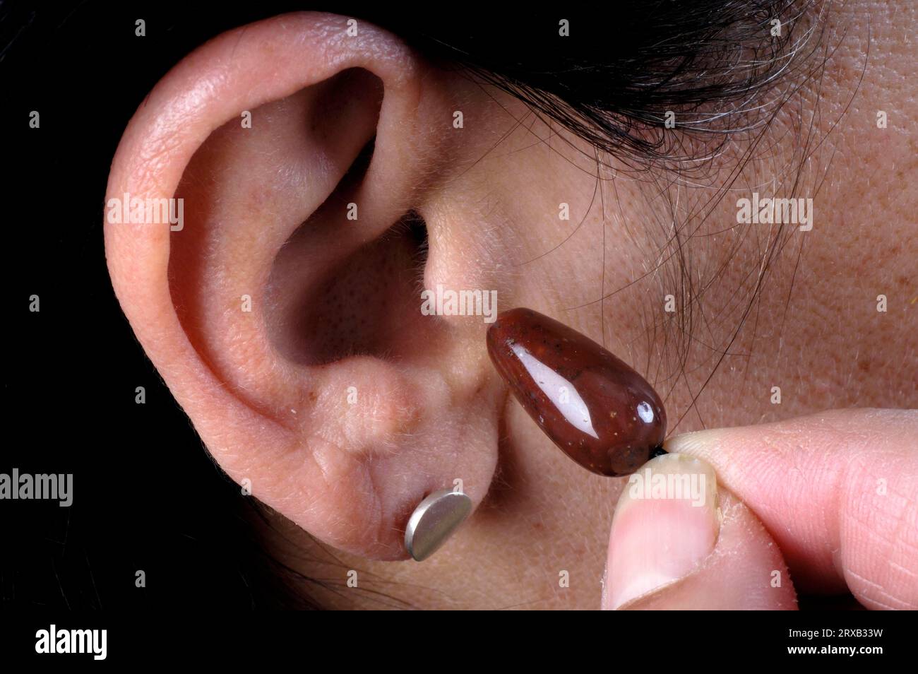 Ohroliven aus Heliotrop, Summen des Ohres, Klingeln in den Ohren, Tinnitus, Klingeln in den Ohren Stockfoto