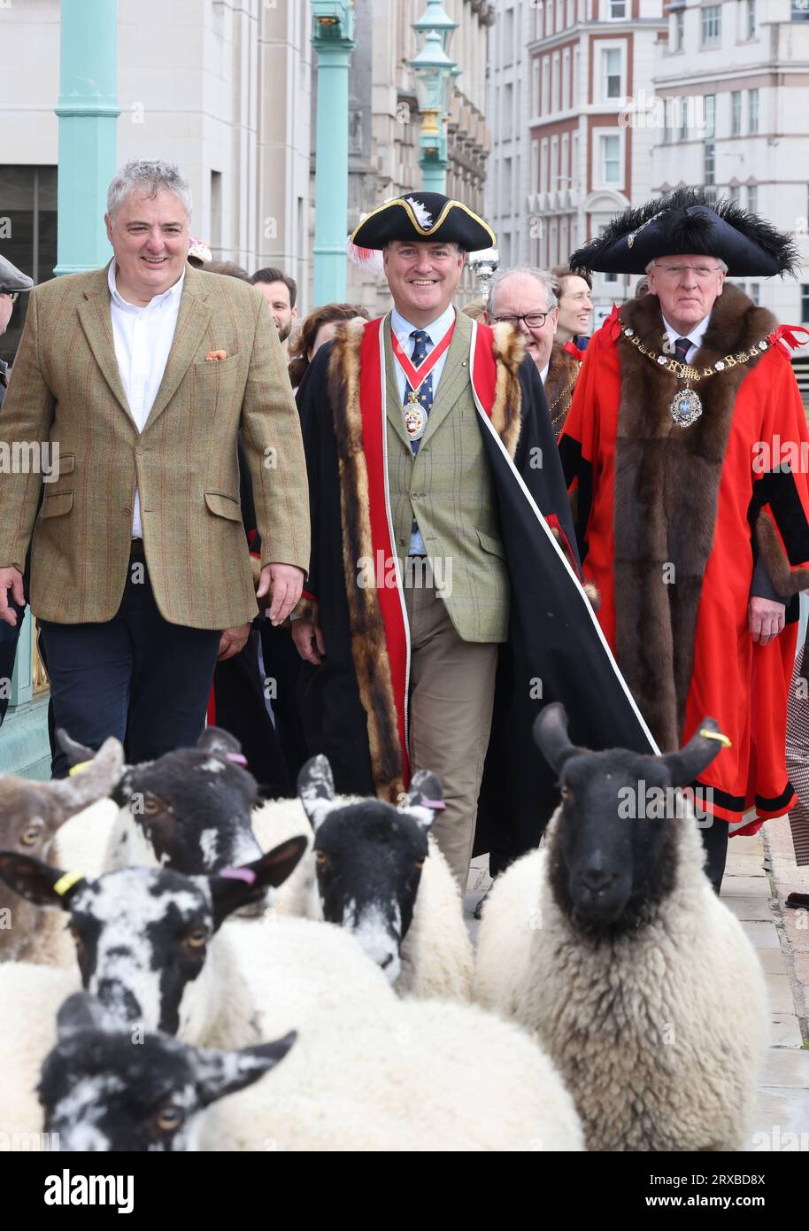 London, UK, 24. September 2023. Freeman und Spitzenkoch Richard Corrigan wurden für den Tag Hirte und nahmen sein altes Recht in Anspruch, Schafe über die Southwark Bridge und die Themse im Zentrum Londons zu fahren. Zu dieser großen Spendensammlung gesellten sich Master Woolman Vincent Keaveny und Sir Andrew Parmley als Lord Mayor Locum Tenenshe & Sheriffs of the City of London. Credit:Monica Wells/Alamy Live News Stockfoto