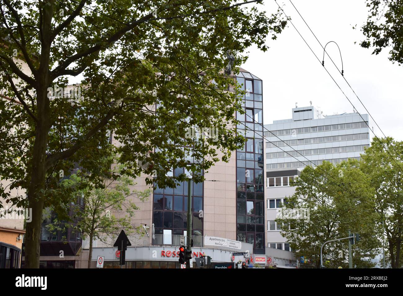 Frankfurt an einem düsteren Tag Stockfoto