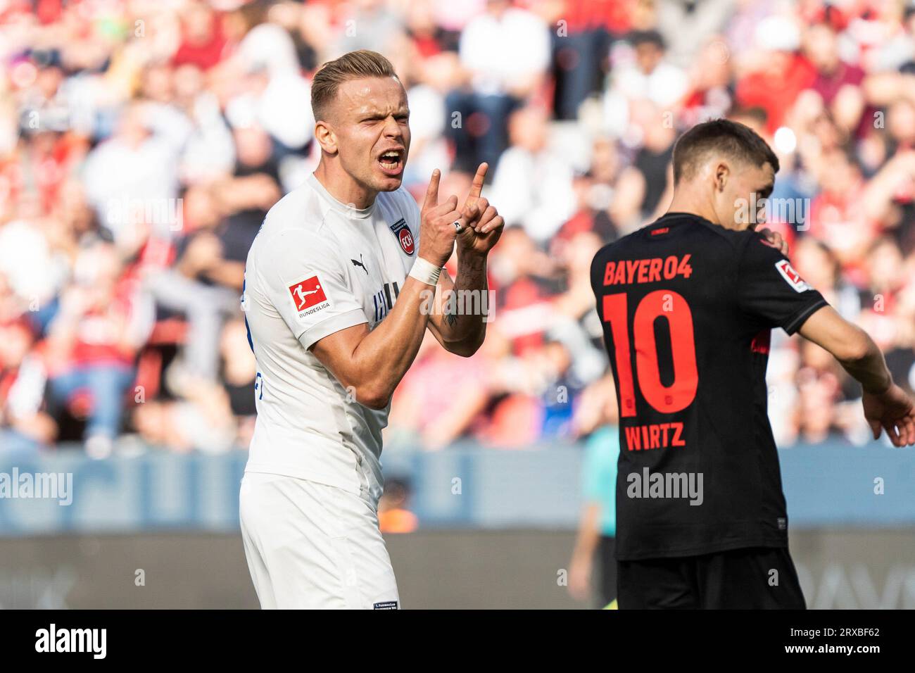 Leverkusen, Deutschland. September 2023. 24.09.2023, BayArena, Leverkusen, GER, 1.FBL Bayer 04 Leverkusen vs 1. FC Heidenheim im Bild: Lennard Maloney #33 (Heidenheim) schreit, zeigt was an, Finger nach oben Foto © nordphoto GmbH/Christian Schulze DFL-Vorschriften verbieten jede Verwendung von Fotografien als Bildsequenzen und/oder Quasi-Video Credit: dpa/Alamy Live News Stockfoto