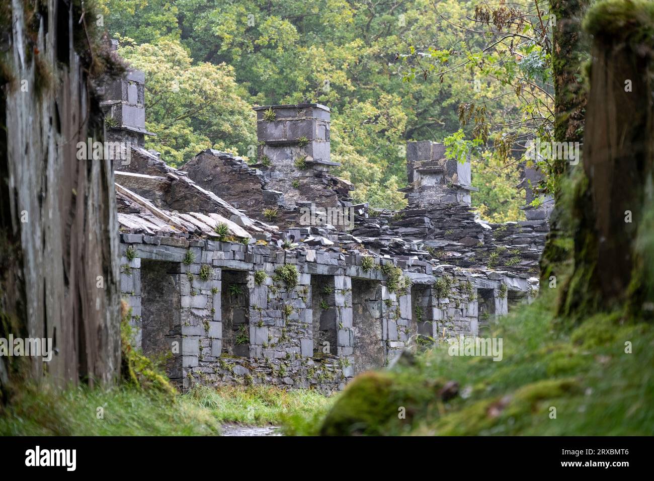 Anglesey Barracks, ehemalige Steinbruchhäuser im Dinorwic Slate Quarry, zwischen den Dörfern Dinorwig und Llanberis, Snowdonia, Nordwales. Stockfoto