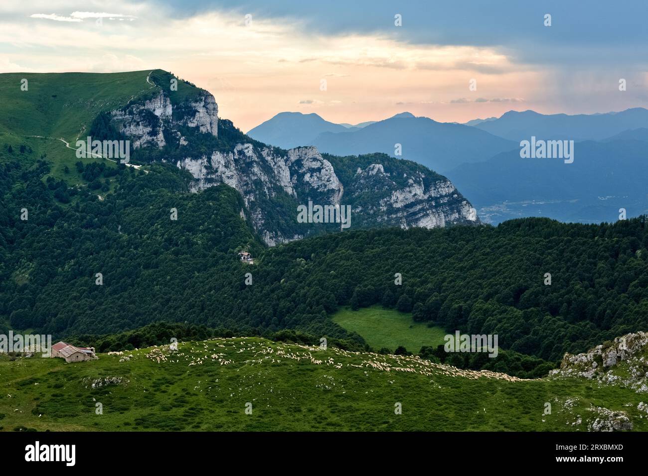 Der Gipfel Punta di Vo und die Weiden der Malga Tolghe. Monte Baldo, Brentonico, Trentino. Stockfoto