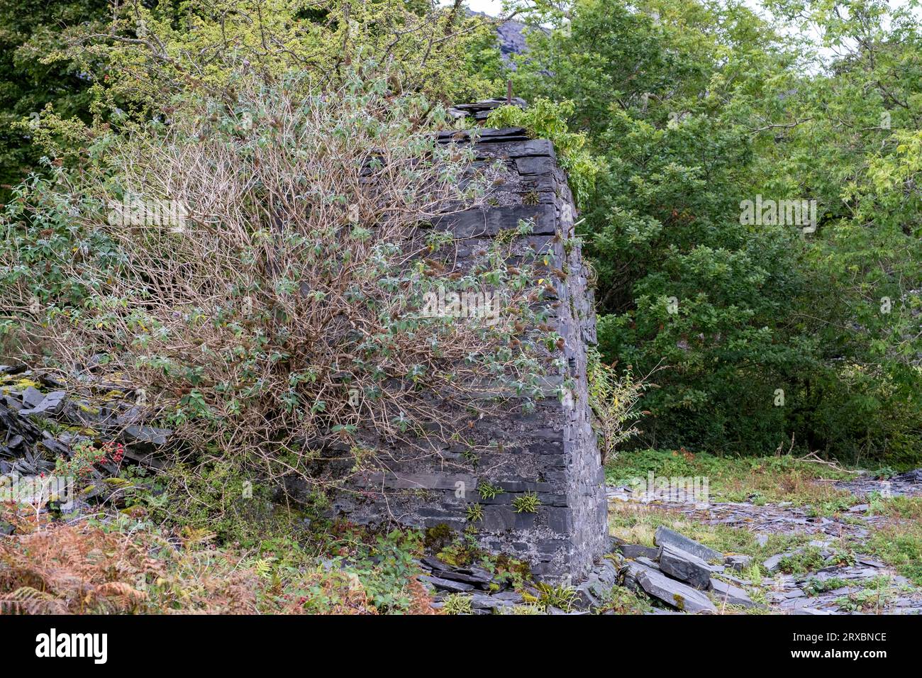 Blick auf Dorothea Slate Quarry, in der Nähe der Dörfer Nantlle und Talysarn, Snowdonia, Nordwales, Vereinigtes Königreich. Stockfoto
