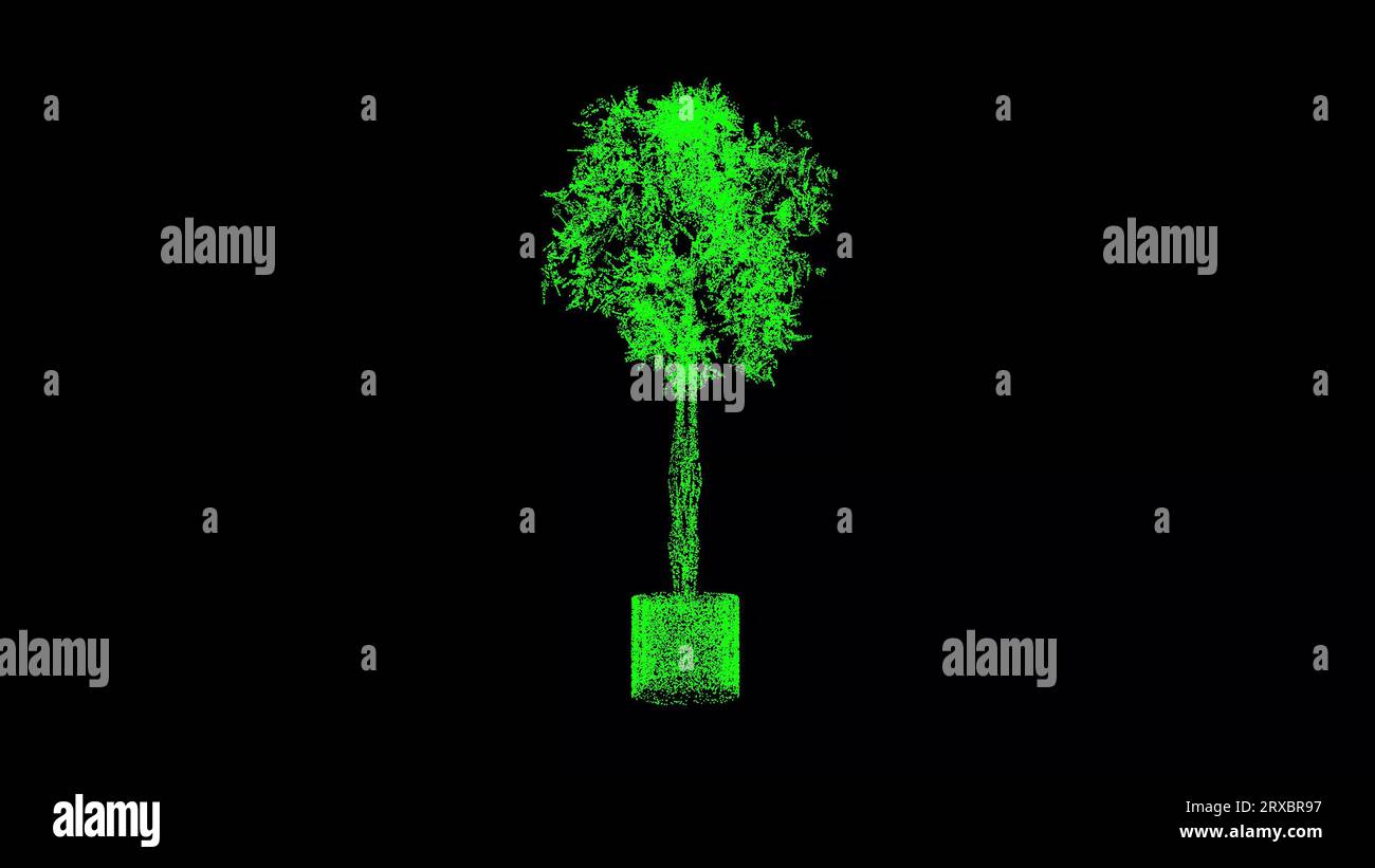 3D-Zierbaum in einem Topf dreht sich auf schwarzem Hintergrund. Dekor und Pflanzenkonzept. Anlagendesign. Hintergrund der Geschäftswerbung. Für Titel, Text, Prese Stockfoto