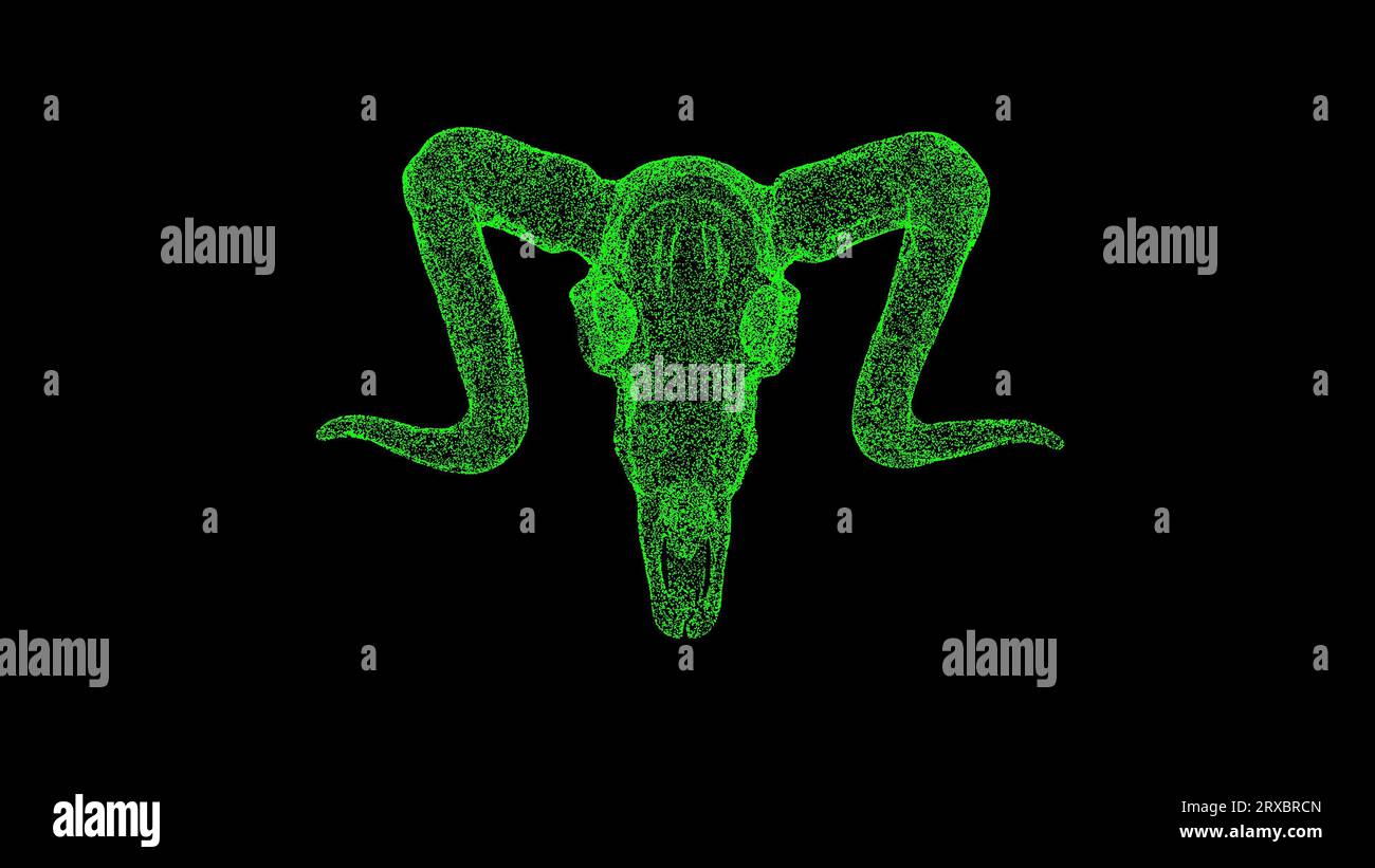 3D-RAM-Schädel dreht sich auf schwarzem Hintergrund. Halloween-Konzept. Tierschädel mit Hörnern. Hintergrund der Geschäftswerbung. Für Titel, Text, Präsentation. 3d Stockfoto