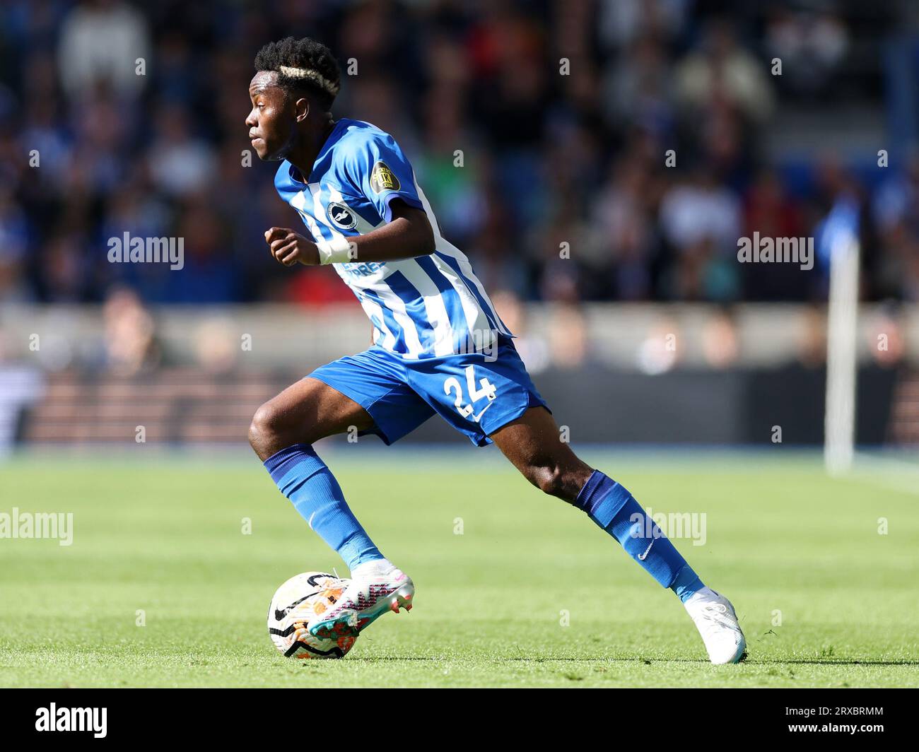 Simon Adingra von Brighton und Hove Albion während des Spiels der