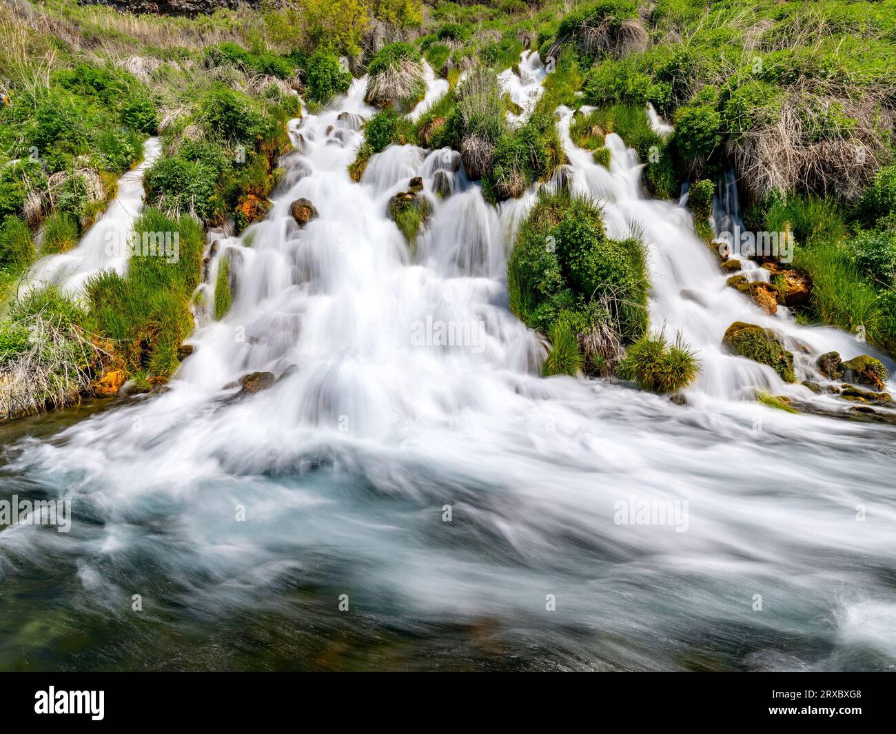 Thousand Springs Idaho Wasserfall inmitten von grünem Gras Stockfoto
