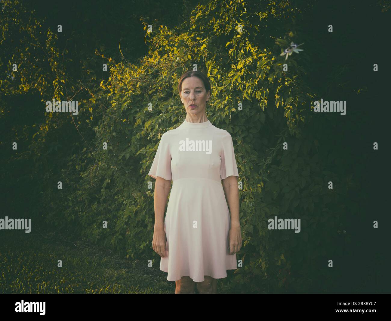 Frau in kurzem rosa Kleid vor einer Hecke III Stockfoto