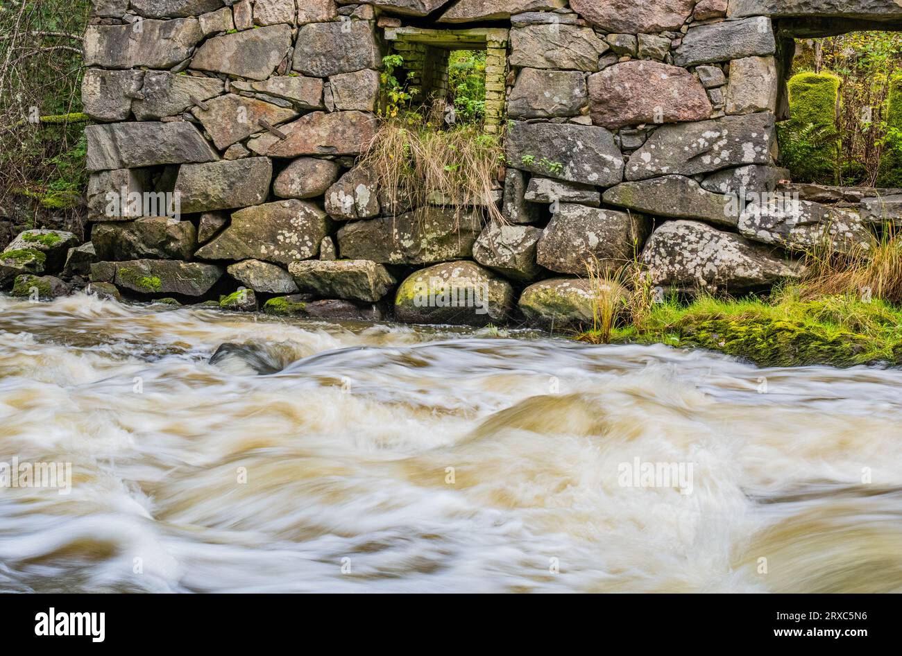 Weiße Stromschnellen Stockfoto