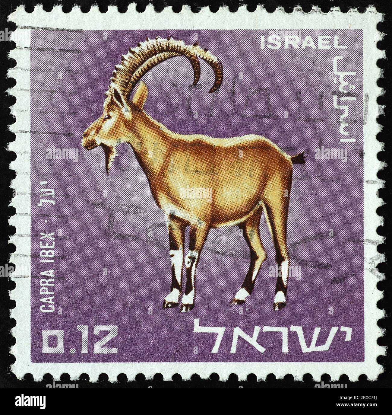 Nubischer Steinbock auf israelischer Briefmarke Stockfoto