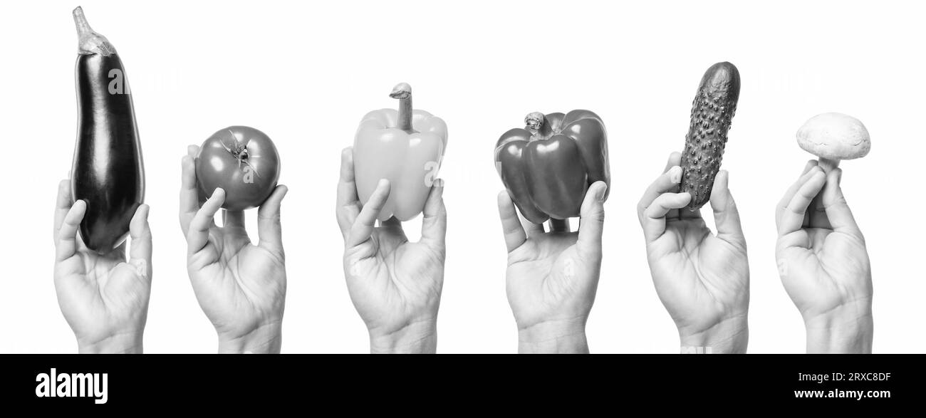 Reife gemischte organische Gemüsesorten von Hand isoliert auf weißem Hintergrund. Stockfoto