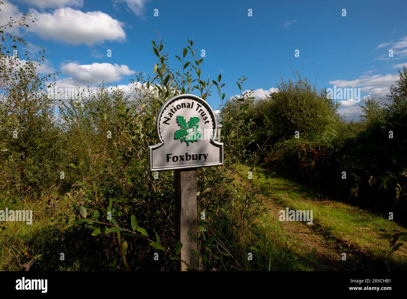 Der Fußweg führt durch die Foxbury National Trust Area im New Forest Hampshire mit einem Schild mit dem National Trust Logo. Stockfoto