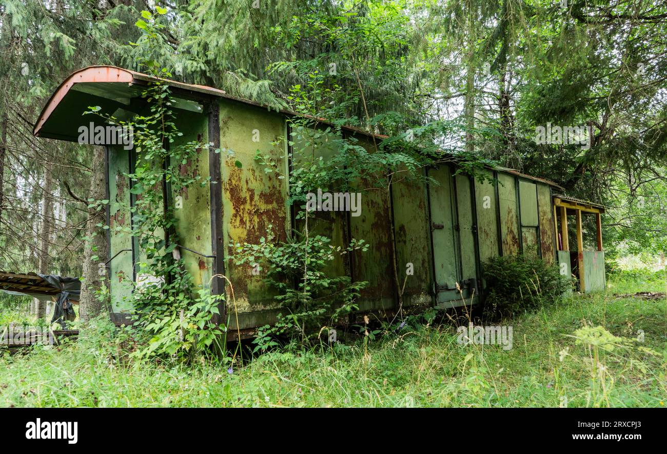 Verlassener, rostiger Holzzug im Wald. Stockfoto